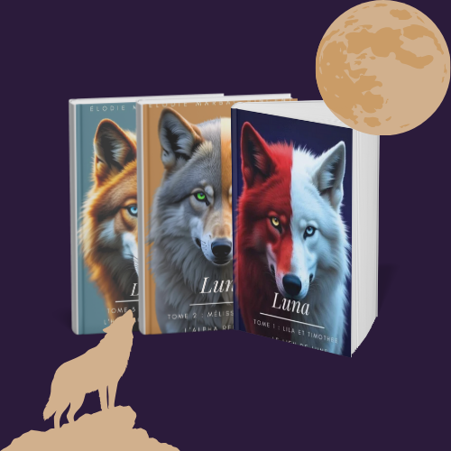 📚 Box Trilogie Luna